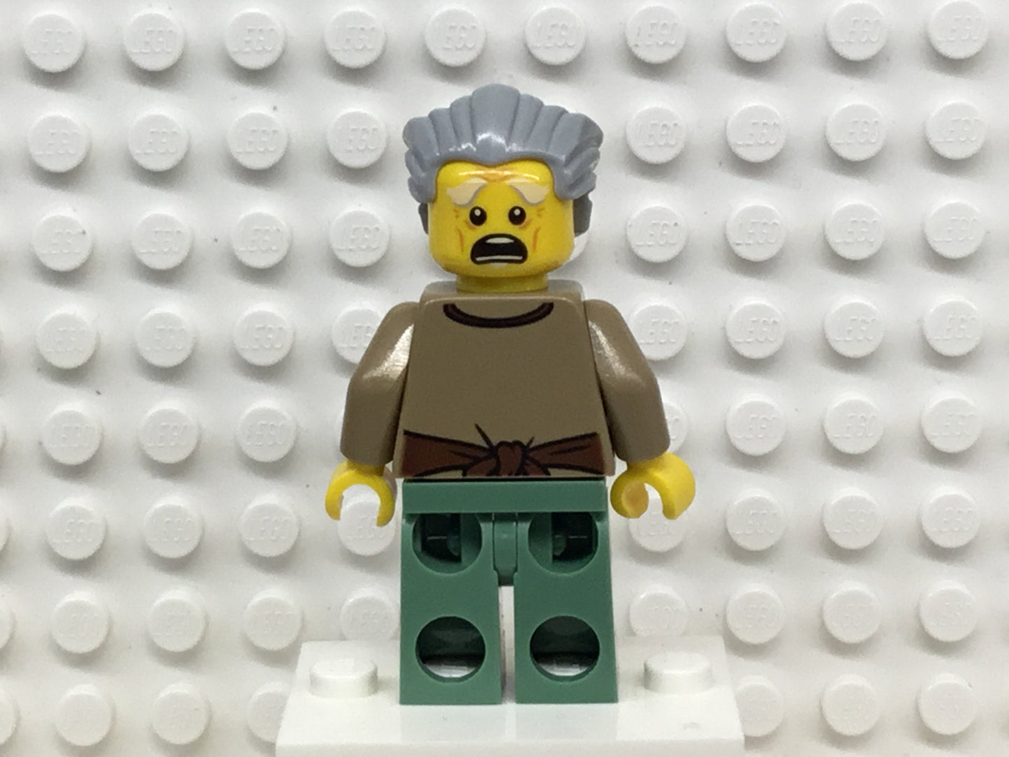 Ed Walker, njo0370 - LEGO® Ninjago Minifigure