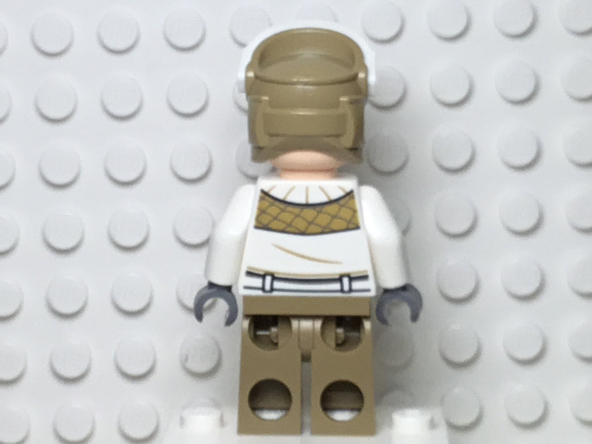 Hoth Rebel Trooper, sw1014