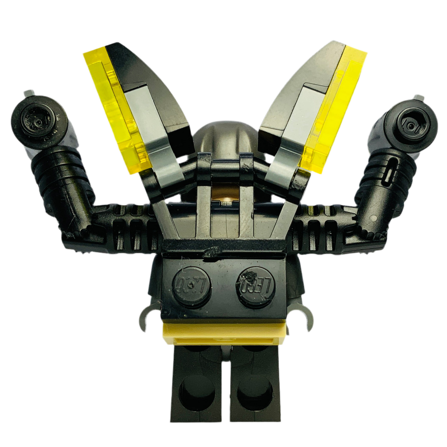 Yellowjacket, sh0189