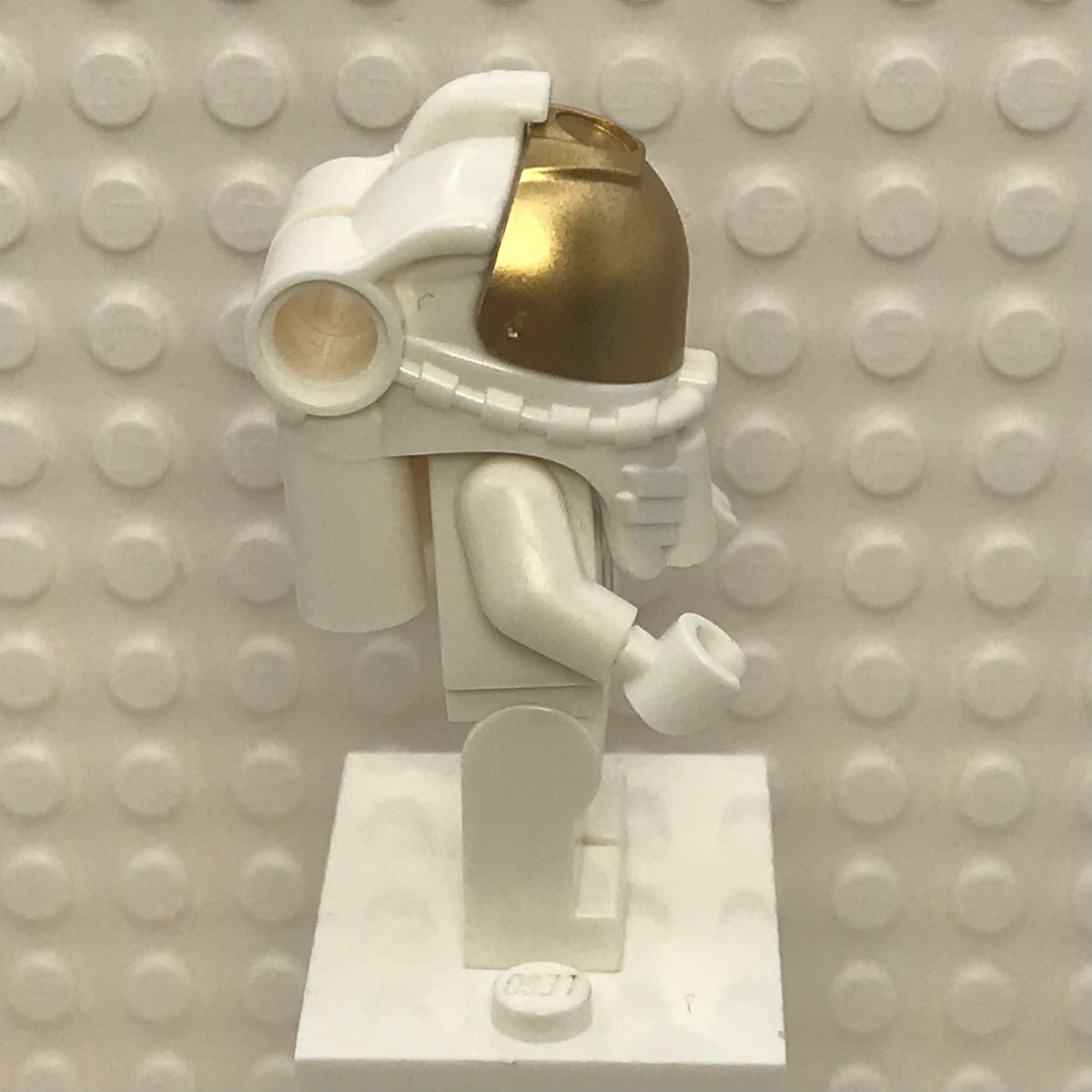 NASA Apollo 11 Astronaut, twn373