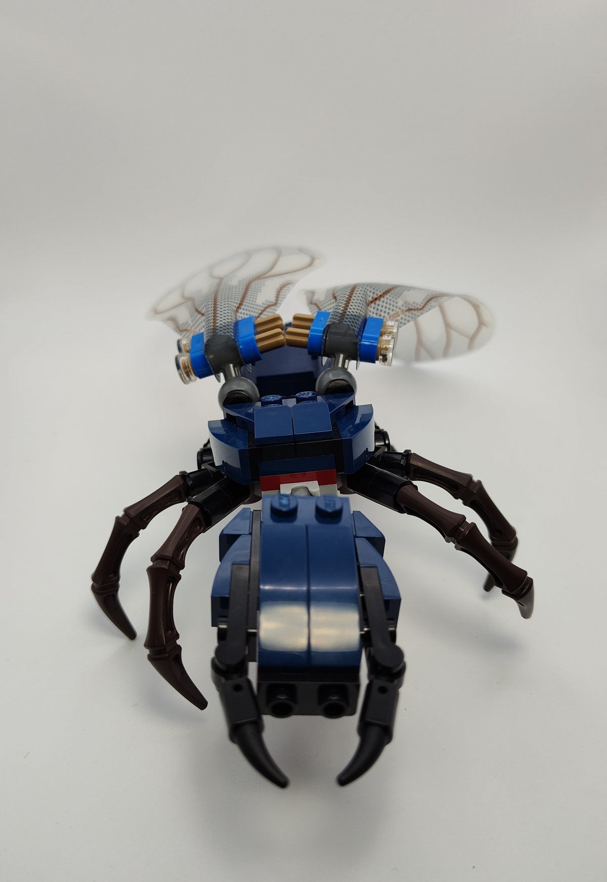 Ant-thony, ant01