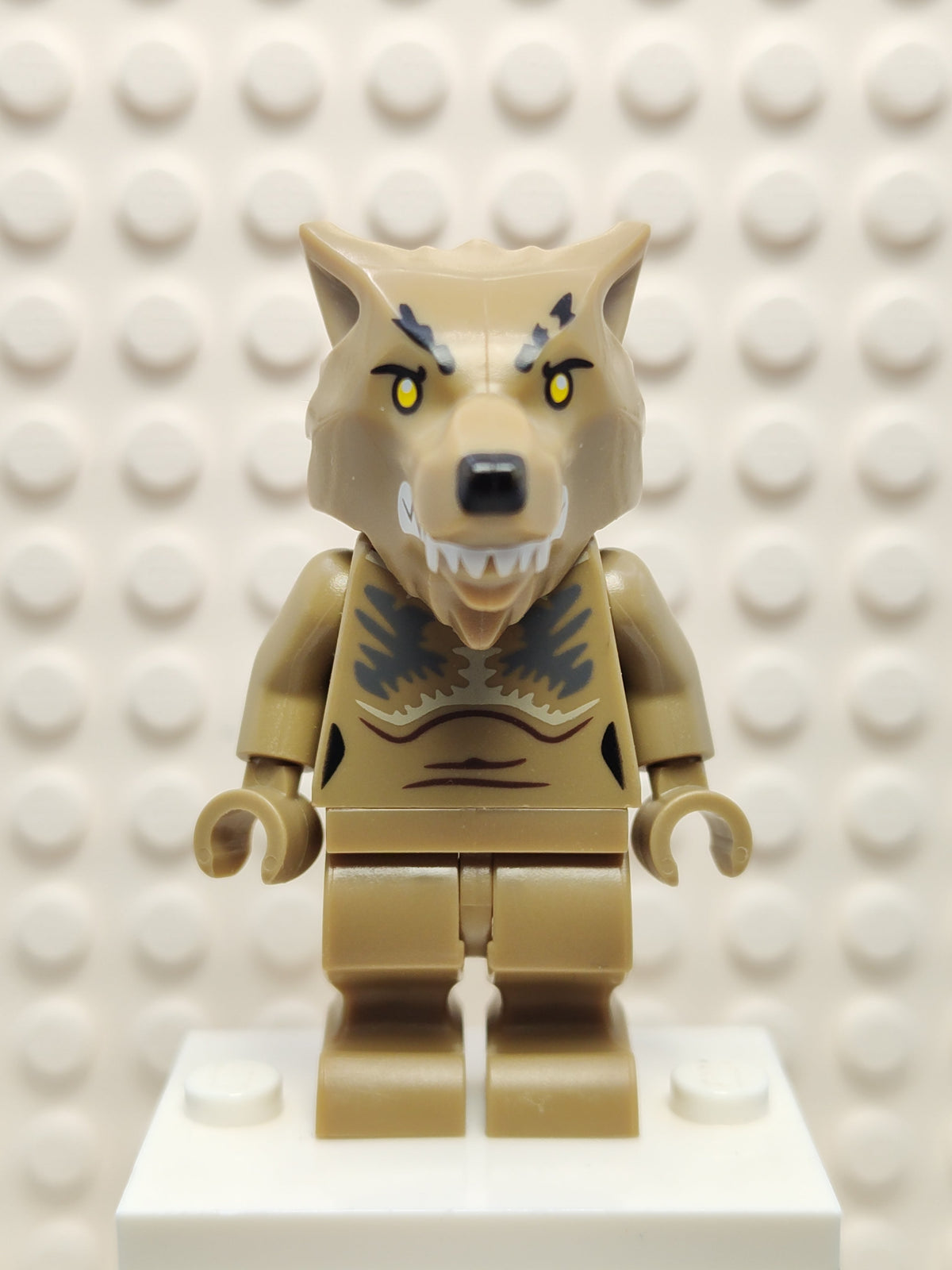 Professor Remus Lupin - Werewolf, hp348