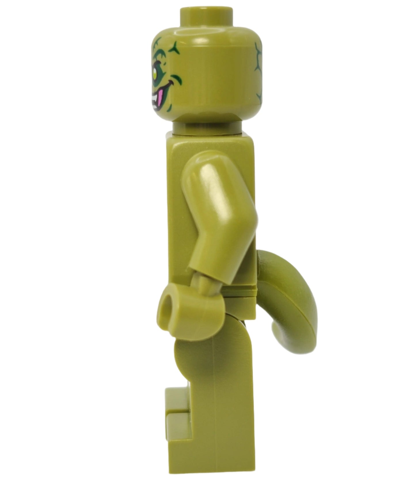 Lizard, sh0938