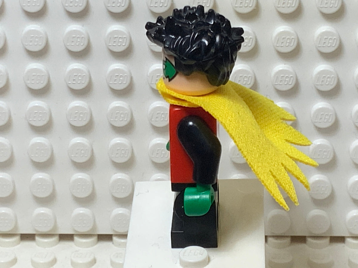 Robin, sh0651