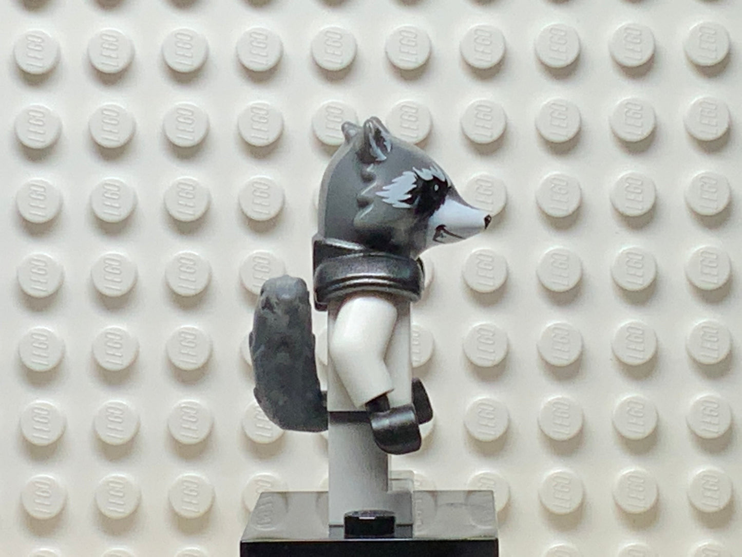 Rocket Raccoon, sh0569