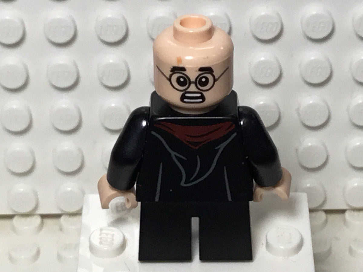Harry Potter, hp314, LEGO® Harry Potter™ Minifigure
