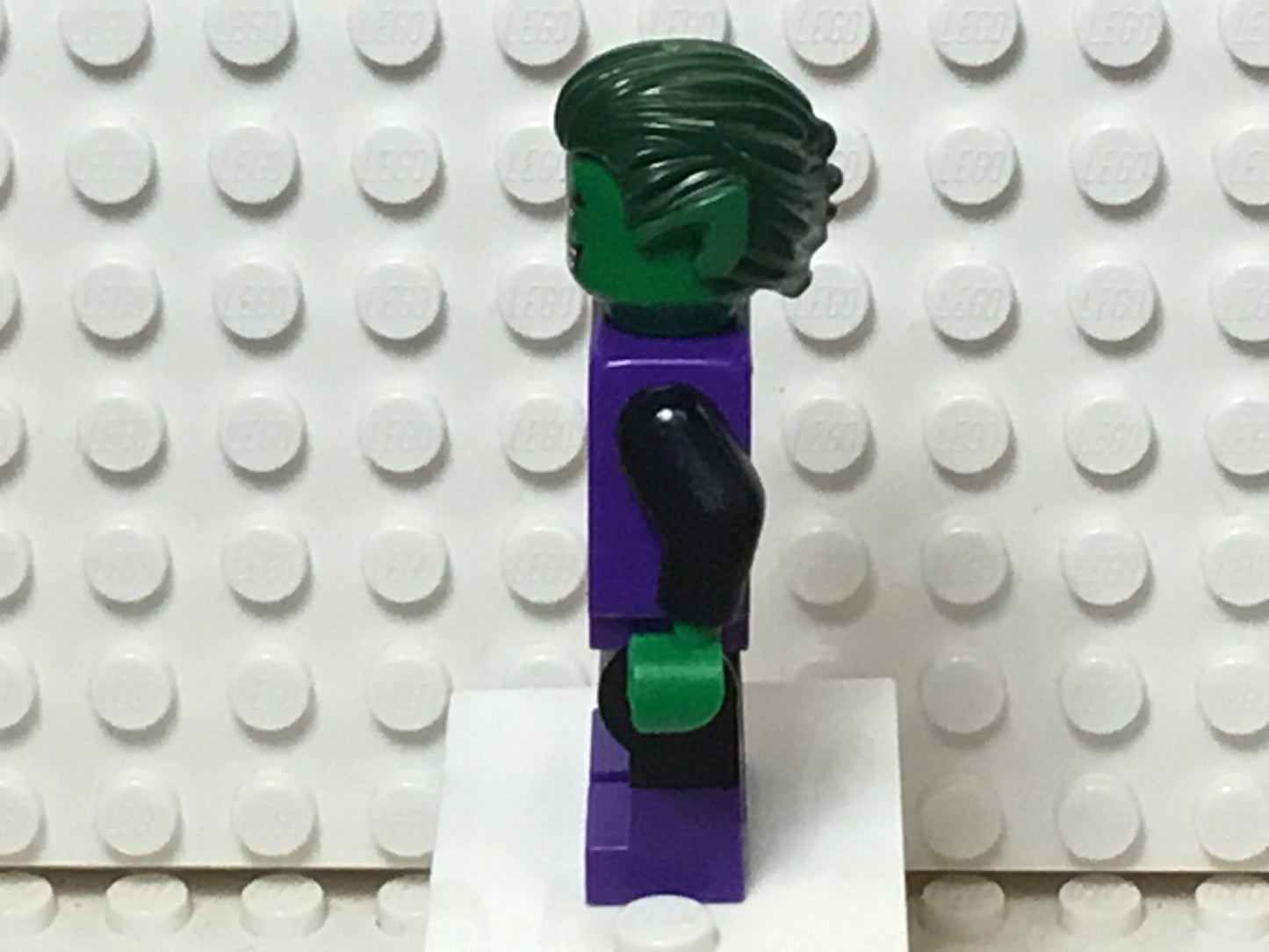 Beast Boy, sh0198